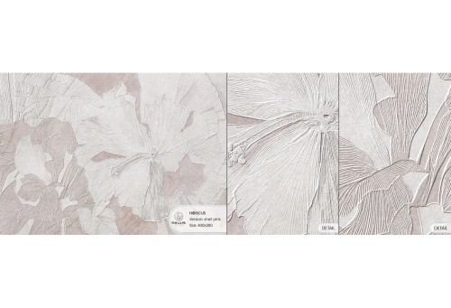 hibiscus-shell-pink-probka.jpg
