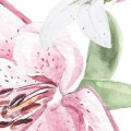 lilie_male_3.jpg