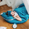 sleepover_morska_foka.png