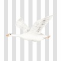 pastelowa-tapeta-w-paski-i-gaski (1).jpg
