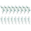 WALL STICKER EUCALYPTUS LEAVES