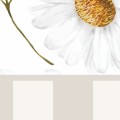 tapeta-lamperia-kwiaty-pasy (1).jpg