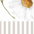 tapeta-paski-bezowa (2).jpg