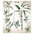 naklejki-jungle-botanics.jpg