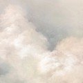 tapeta  wchmury beige (2).jpg