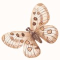 tapeta-dla-dzieci-kwiaty-boho-10.jpg