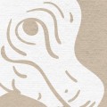 tapeta-dla-dzieci-monochrome-dinozaury-brazowa-09.jpg