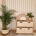 https://tuliroom.live/upload/pasy-tapeta-dekornik.mp4