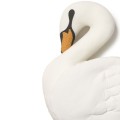 https://tuliroom.live/upload/dywany-swan-lake.mp4