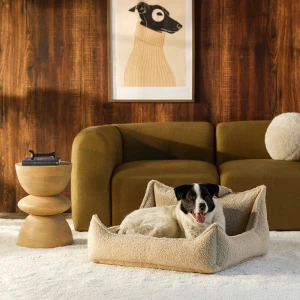 Legowisko dla Psa Biscuit Pet Club Chair L – Wigiwama