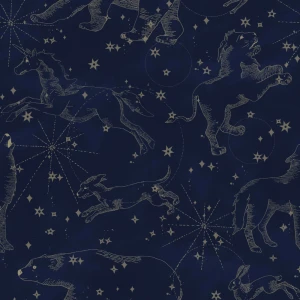 Tapeta z gwiazdozbiorami i zwierzętami Constellations dark - Dekornik