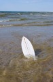 hustawka-surf-biala3.jpg