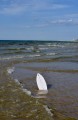 hustawka-surf-biala7.jpg
