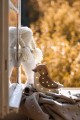 lampka little lights ptaszek mini cofee beige
