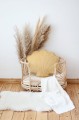 honey-velvet-shell-pillows (1).jpg