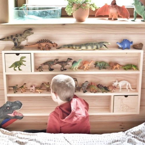 półka na dinozaury