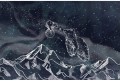 tapeta malumi nocne niebo niedźwiadki