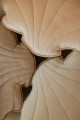 velvet shell pillow cream pearl