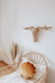 shell cushion velvet gold pearl