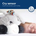 DON_4_Cry-sensor-LR.jpg