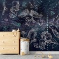wallpaper night sky