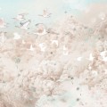 wallpaper dream kids rose