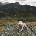 picnic-blanket-woodland-makaszka (1).jpg