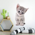 wall sticker kitten