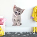 wall sticker kitten