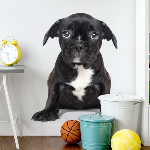 wall sticker puppy