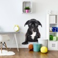 wall sticker puppy