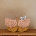 little lights butterfly amp