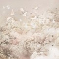 wallpaper dream evening neutral