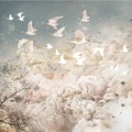 wallpaper dream evening white