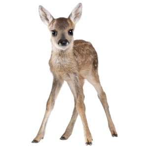DEKORNIK - WALL STICKER ROE-DEER LUCY