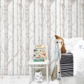 wallpaper scandinavian birtch forest