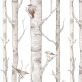wallpaper scandinavian birtch forest