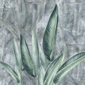 wallpaper jungle leaves