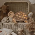 turtle night lamp
