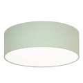 plafond for kids room sage