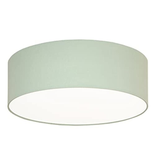 plafond for kids room sage