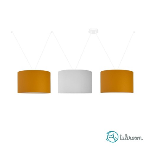 ceiling lamp wv
