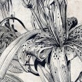 wallpaper leaves black and white