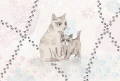 wallpaper for children cats