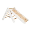 ladder-for-children-with-climbing-wall-and-slide (1).jpg