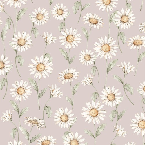 tapeta stokrotki sunny daisy róż