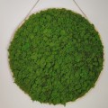 okragly-obraz-z-mchu (1).jpg