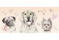 doggies-rainbow-tapeta-dziecieca-z-pieskami.qqjpg.jpg