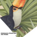 tapeta safari
