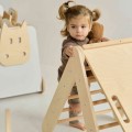 ladder slide